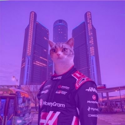 autisticfilmcam's profile picture. pro🇵🇸 - life series enjoyer - F1 & Indycar - minor