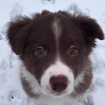 kevstuhh's profile picture. 