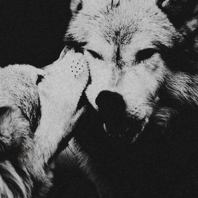 berkos316's profile picture. 