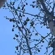 mssdu1's profile picture. 