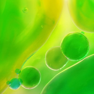 PhamQuynhA72709's profile picture. 