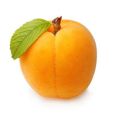 TDimeric's profile picture. Noob