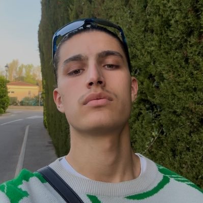 RoyDorian1's profile picture. prince de sang-mêlé