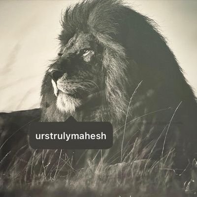 SeshuTheBusss's profile picture. 