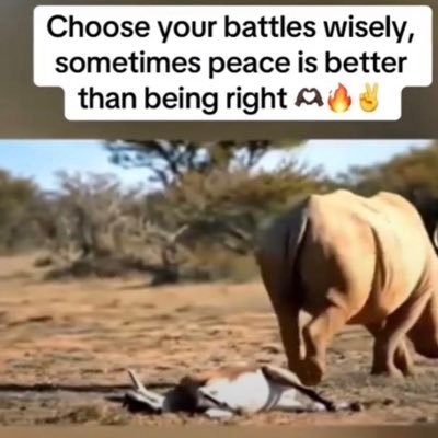 ogstone57's profile picture. follow me for more