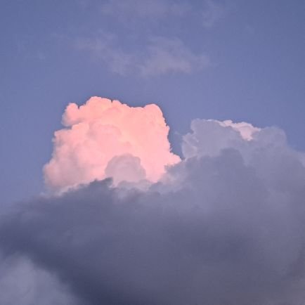 XkbFHVRcKw7693's profile picture. 成人済
収集する垢