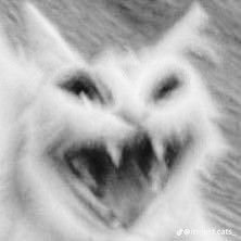 girappeu's profile picture. 24/7 ngeluh