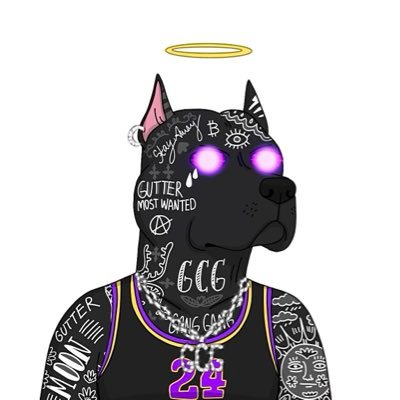 rvcnft's profile picture. 🇺🇸🇲🇽 Husband | Father of 2 | GOD First ✝️ | NFT’s / Crypto #LakeShow #FlyTogether $SOL 📈🚀