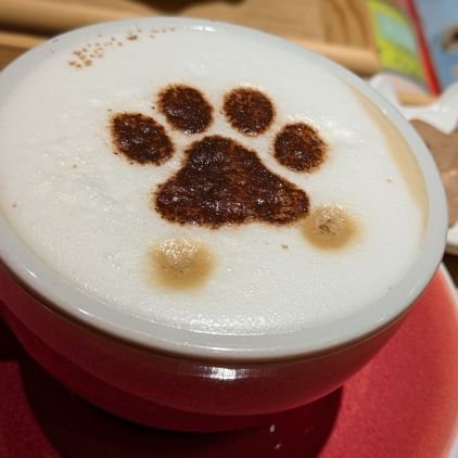 TCNv6TH8WC11450's profile picture. おしゃべりなイケメンハチワレ猫2才🐾/アクアリウム好き🐟️/観葉植物好き🌿/部屋をジャングルにしたい/DM頂いてもお返事出来ません🙏