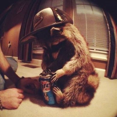 iiRyggzii's profile picture. 