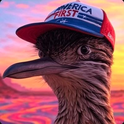 Roadrunner9797's profile picture. Left leaning for years until I read Milton Friedman and Thomas Sowell. Pro Decentralization of Power. I support firing anyone who celebrated Charlie Kirks death