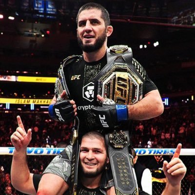 Swiss Cheese Em Profile