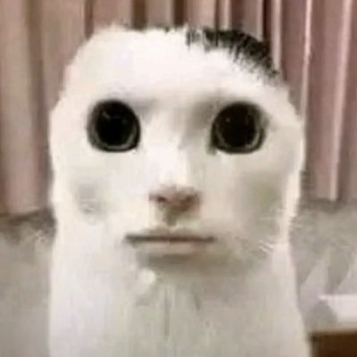 L3_LYC3's profile picture. I mainly just retweet a lot of stuff but I might post more in the future idk https://t.co/pojrPezrVM