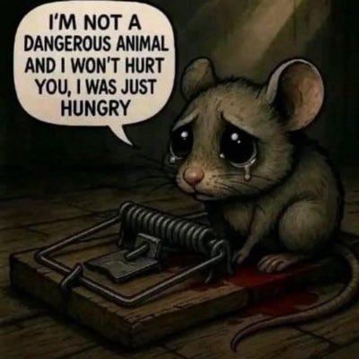 NjieJapa91737's profile picture. Be kind and compassionate to one another, forgiving each other, just as in God forgave you.