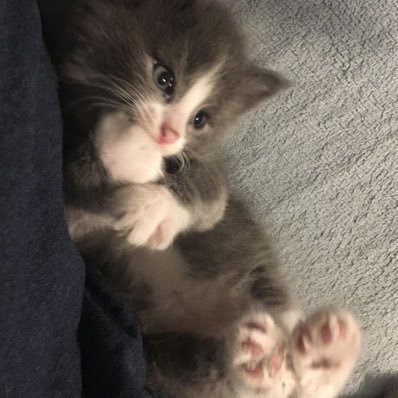 praisewtw's profile picture. ….