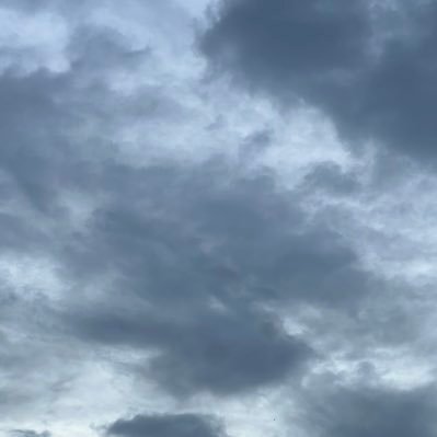 LabeebEv's profile picture. 