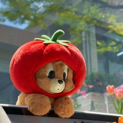 shopwithaca's profile picture. ✦ 20🍅 155/40; dry skin;
⌗beauty • fashion • soft girl things
✦ for collab / ask → DM 💌