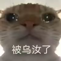 User_akongbai's profile picture. Aptos：0x8fd799228cee1e6fd2a551c3882652bdd1217028a276516232d6e67399a8f6b4