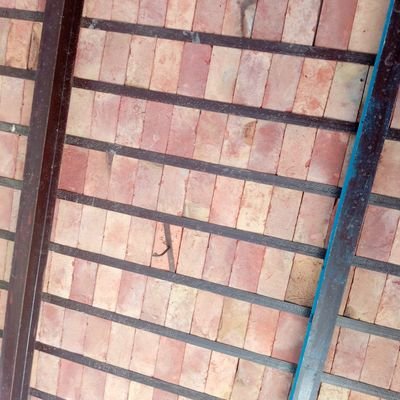 limonAlex96's profile picture. sígueme y te sigo