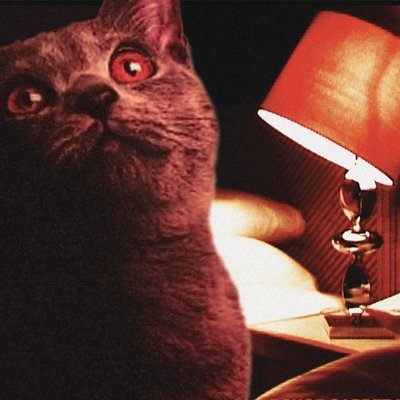 WhostheotherMES's profile picture. Adam "Blender user" BlackMES | Waiting for new Loathe. BTS/WIP ART stuff: @BlackMES_PRIV (moots only) | Creator of the BrightonClubFanClub Fan Club