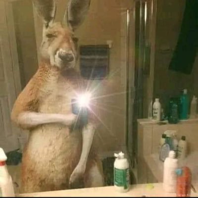 buckzthejeweler's profile picture. crypto & jewelry 💎