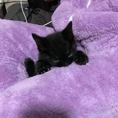 MoonEllla_1201's profile picture. Moon n God -All for #ELLA