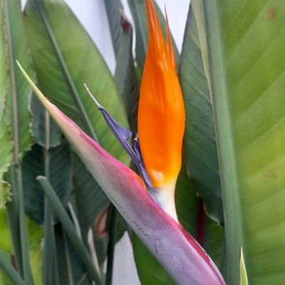 David312551's profile picture. 