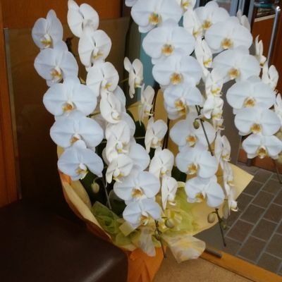 IY4de9NePYq09nd's profile picture. 💛💚🩷や食べること📽️🖼️⚾️
🏵️🤳好きです。

無断転載はダメだよ❕

変なフォローブロックだよ！！