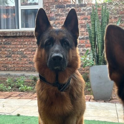 chrisvsbvb09's profile picture. South African 25