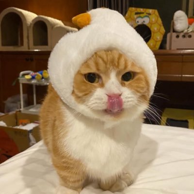 ma1369110's profile picture. 