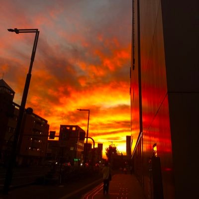 n_shingo0214's profile picture. 