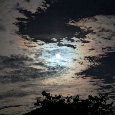 Dwane18's profile picture. 