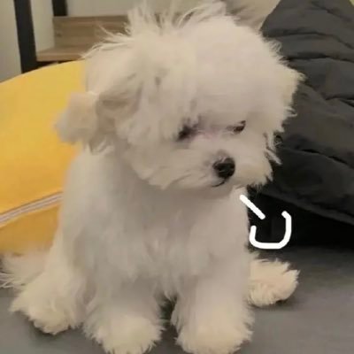 onyourb__amn's profile picture. づ🍼ど ꒰🐶꒱ @harit_keng +.ﾟ@ppoohkt ’s mommy ͙ᐟ ͙ᐟ