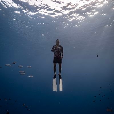 king_buyuk35119's profile picture. 은퇴한자. 민주당권리당원. 맨몸운동. 웨이트 러닝.수영. 프리/스쿠버다이빙. Investing: Stock tesla
X극우극혐X