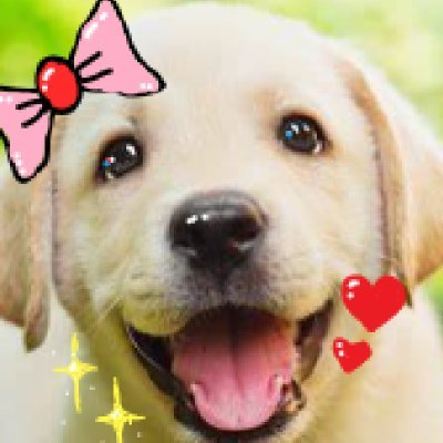 norinotsu's profile picture. ふわっちで配信してます
ふわっちの奴らは皆仲間だと勝手に思ってる
パルパルに「君見込みあるよ」って言われた事あります