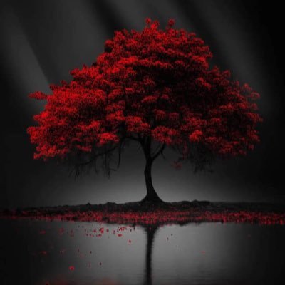 Eddyxchan's profile picture. crypto community builder 🔥|||Community manager||| social media marketing|||Promoter|||Marketer|||Raider