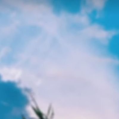 m_moina158's profile picture. 