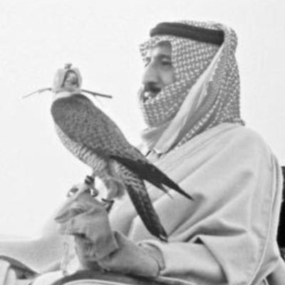 ii63lt's profile picture. ما أنا إلا عبد ضعيف أُصيب وأُخطى .