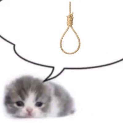 thirdimpactplzz's profile picture. 