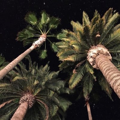 kh_l92's profile picture. 