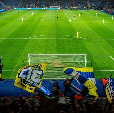 Asekoss_'s profile picture. 🦁L'inévitable Sochaux (qui ne sauvegarde pas ma santé mentale)             

                                                            🏟Fan de Groundhopping