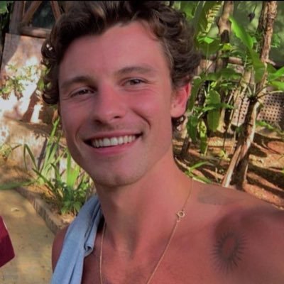 positivelyprvt's profile picture. a more delusional and unhinged @sprmedits_ | ONLY ACCEPTS REQUESTS FROM MOOTS/FRIENDS | current topic: Shawn x bruna???