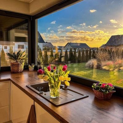 nanxpul's profile picture. telegram : https://t.co/a1s1vh24Px