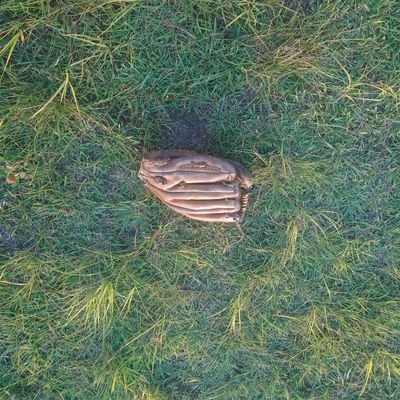 otakuuuudayonn's profile picture. 野球オタク