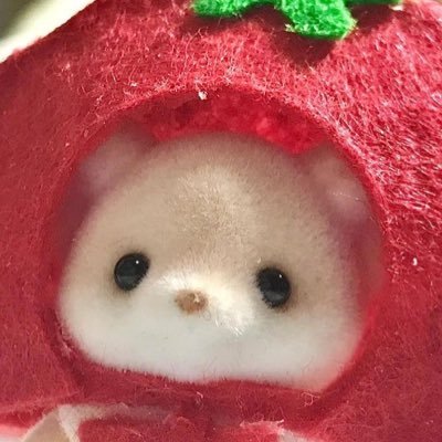 szltm_'s profile picture. @z_7xiy