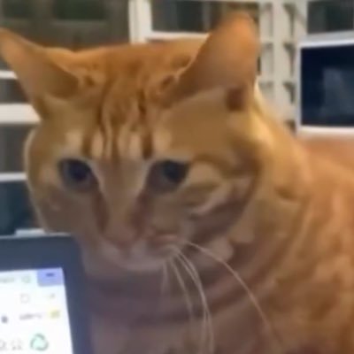 takaaa_san's profile picture. 理工/柔道部 好きな言葉は「できないじゃねえ、やるんだよ」