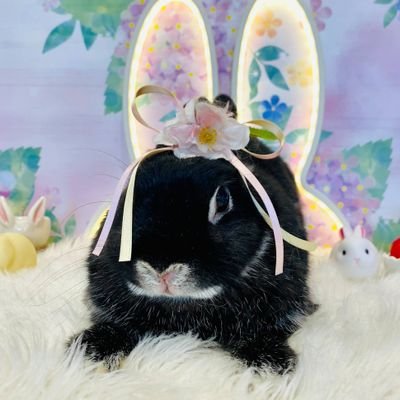 hiroshi_0328000's profile picture. youtubeやってます！
主に熱帯魚などを飼育しています！
これからも頑張るのでよろしくお願いします！
私のyoutube https://t.co/Xywvw5DjHy