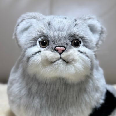 mahobu's profile picture. スマホをiPhone Proにしたので、大好きなマヌルネコの投稿をはじめました🐈まだまだ素人ですが、よろしくお願いします🫶