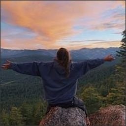 Nallor15865's profile picture. 