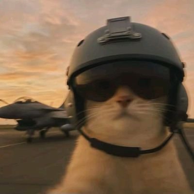 skylitxr's profile picture. wired in